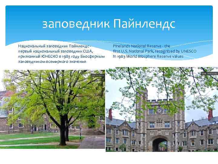 заповедник Пайнлендс Национальный заповедник Пайнлендс - первый национальный заповедник США, признанный ЮНЕСКО в 1983