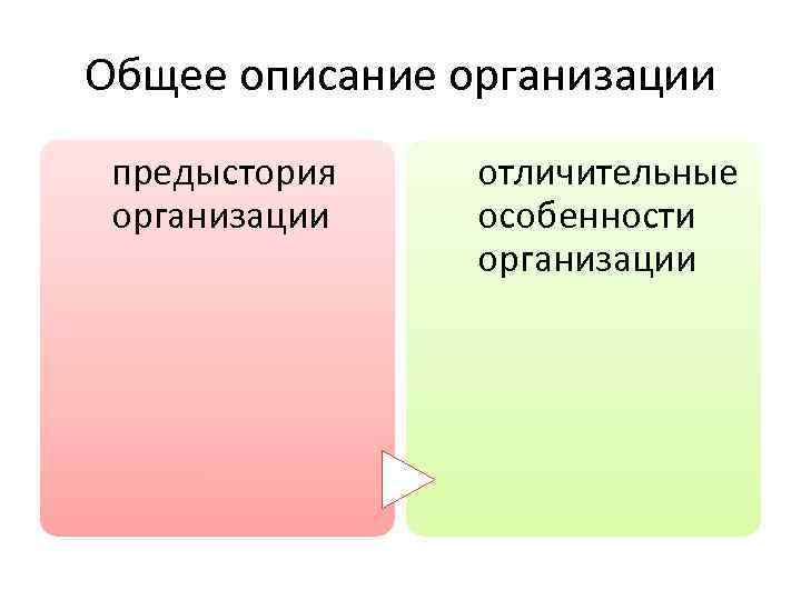 Общее описание организации предыстория организации отличительные особенности организации 