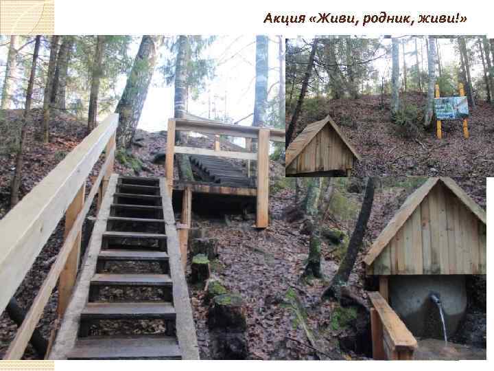 Акция «Живи, родник, живи!» 