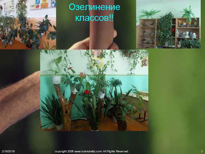 Озелинение классов!! 2/18/2018 copyright 2006 www. brainybetty. com; All Rights Reserved. 7 