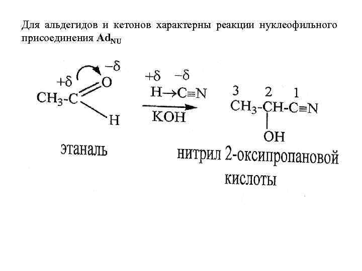 Для альдегидов и кетонов характерны реакции нуклеофильного присоединения Ad. NU 