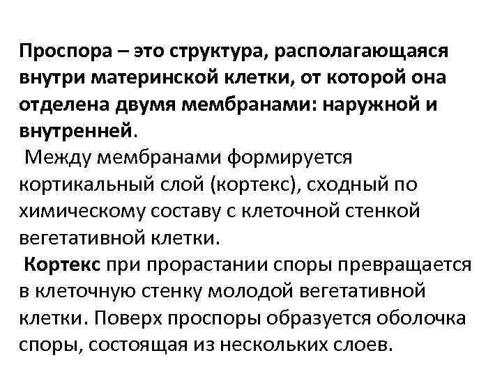 Проспора – это структура, располагающаяся внутри материнской клетки, от которой она отделена двумя мембранами: