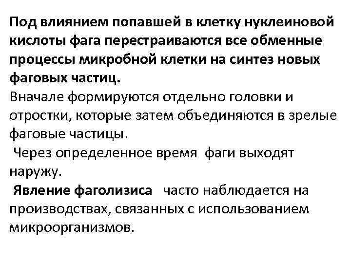 Под влиянием попавшей в клетку нуклеиновой кислоты фага перестраиваются все обменные процессы микробной клетки