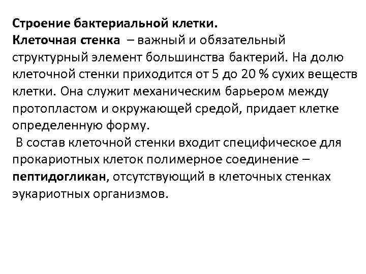 Строение бактериальной клетки. Клеточная стенка – важный и обязательный структурный элемент большинства бактерий. На