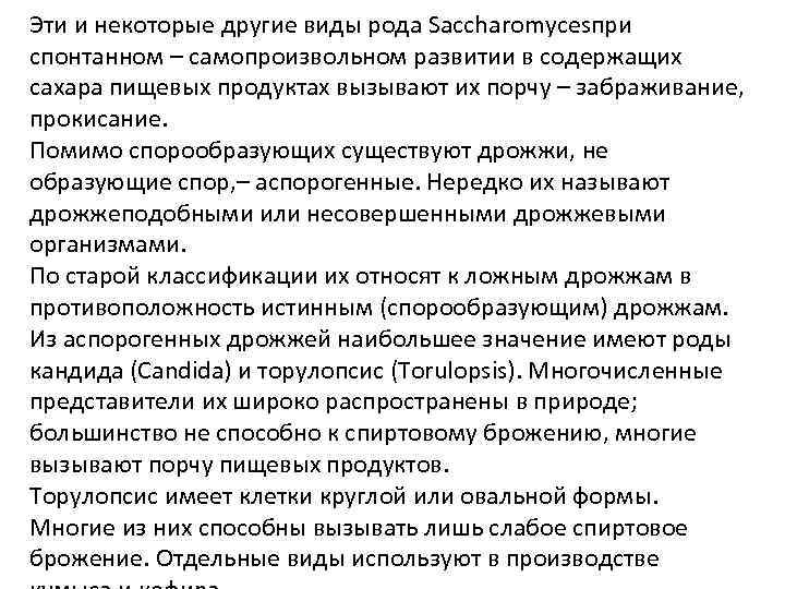 Эти и некоторые другие виды рода Saccharomycesпри спонтанном – самопроизвольном развитии в содержащих сахара