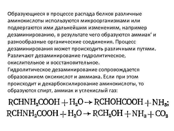 Образующиеся в процессе распада белков различные аминокислоты используются микроорганизмами или подвергаются ими дальнейшим изменениям,