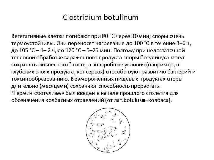 Clostridium botulinum Вегетативные клетки погибают при 80 °С через 30 мин; споры очень термоустойчивы.