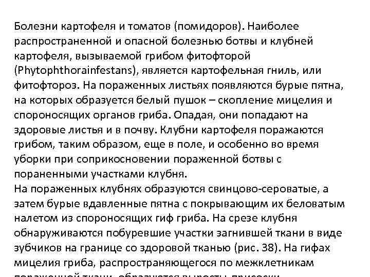 Болезни картофеля и томатов (помидоров). Наиболее распространенной и опасной болезнью ботвы и клубней картофеля,