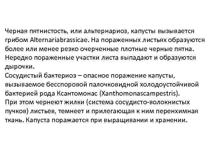 Черная пятнистость, или альтернариоз, капусты вызывается грибом Alternariabrassicae. На пораженных листьях образуются более или