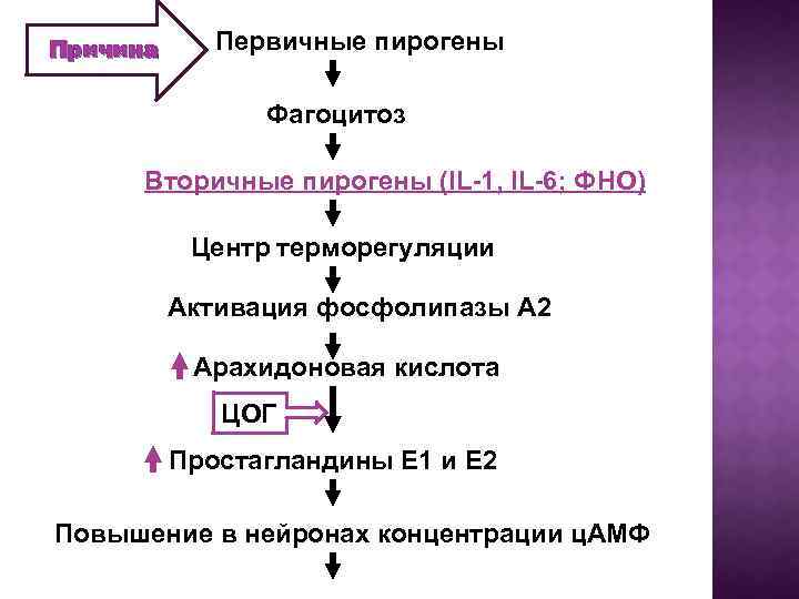 Причина Первичные пирогены Фагоцитоз Вторичные пирогены (IL-1, IL-6; ФНО) Центр терморегуляции Активация фосфолипазы А