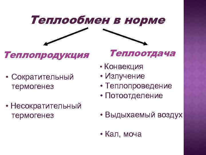 Теплообмен в норме Теплопродукция Теплоотдача • Конвекция • Сократительный термогенез • Несократительный термогенез •