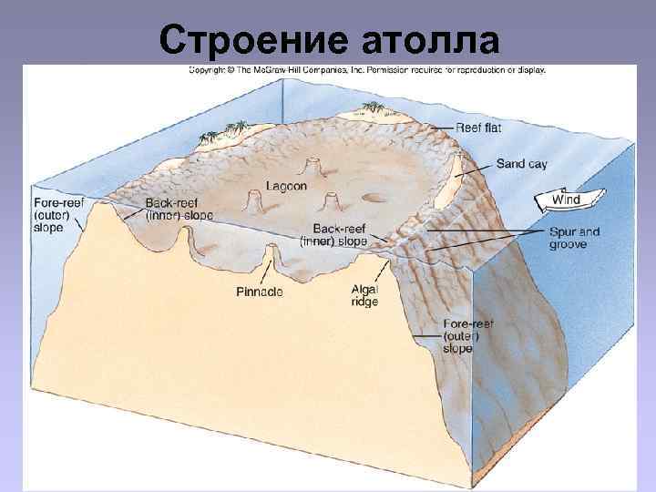 Образование атолла схема