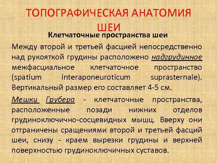 ТОПОГРАФИЧЕСКАЯ АНАТОМИЯ ШЕИ Клетчаточные пространства шеи Между второй и третьей фасцией непосредственно над рукояткой