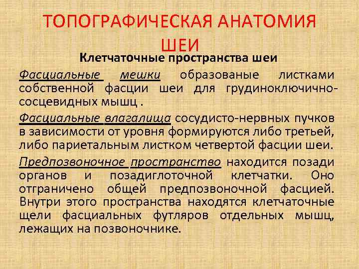 ТОПОГРАФИЧЕСКАЯ АНАТОМИЯ ШЕИ Клетчаточные пространства шеи Фасциальные мешки образованые листками собственной фасции шеи для