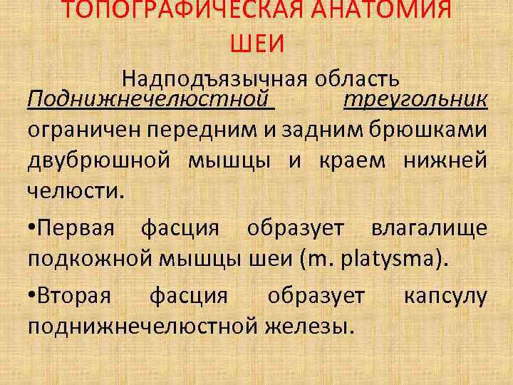 ТОПОГРАФИЧЕСКАЯ АНАТОМИЯ ШЕИ Надподъязычная область Поднижнечелюстной треугольник ограничен передним и задним брюшками двубрюшной мышцы