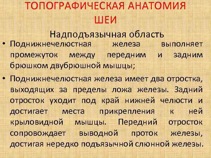 ТОПОГРАФИЧЕСКАЯ АНАТОМИЯ ШЕИ Надподъязычная область • Поднижнечелюстная железа выполняет промежуток между передним и задним