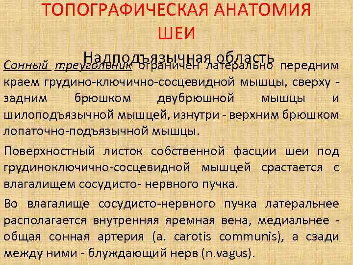 ТОПОГРАФИЧЕСКАЯ АНАТОМИЯ ШЕИ Надподъязычная область Сонный треугольник ограничен латерально передним краем грудино-ключично-сосцевидной мышцы, сверху