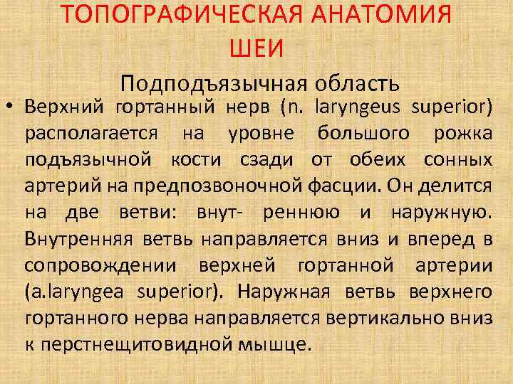 ТОПОГРАФИЧЕСКАЯ АНАТОМИЯ ШЕИ Подподъязычная область • Верхний гортанный нерв (n. laryngeus superior) располагается на