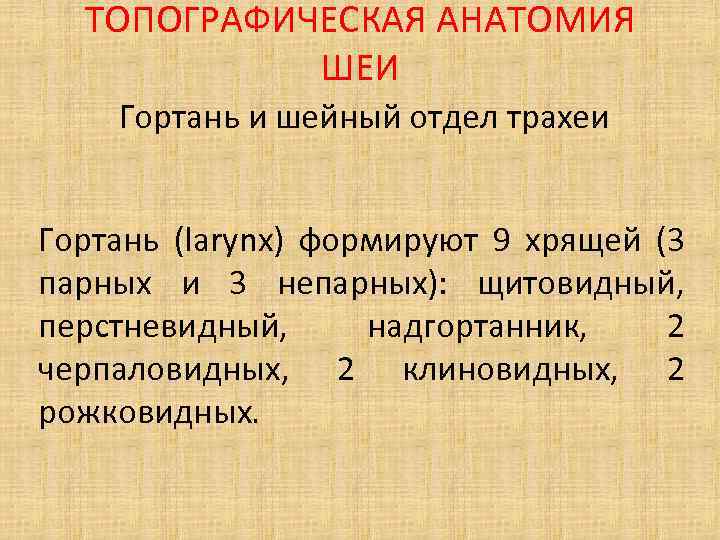 ТОПОГРАФИЧЕСКАЯ АНАТОМИЯ ШЕИ Гортань и шейный отдел трахеи Гортань (larynx) формируют 9 хрящей (3