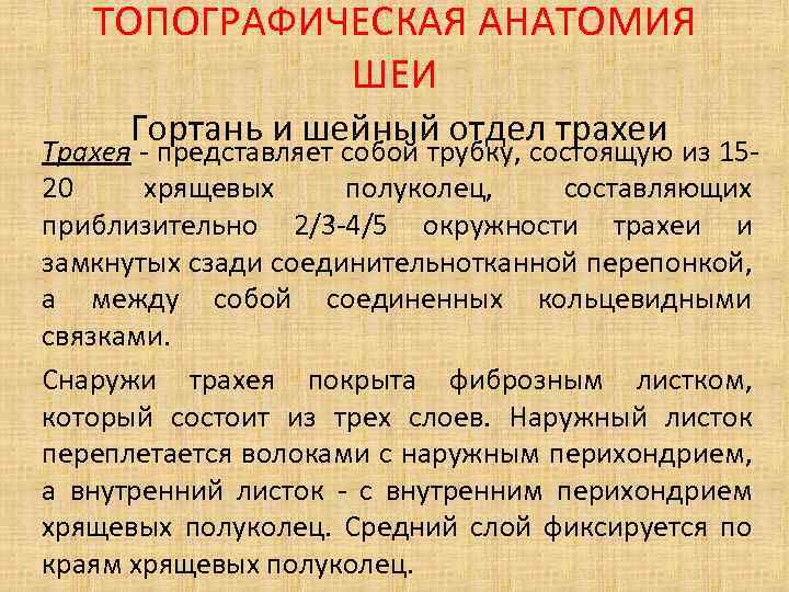 ТОПОГРАФИЧЕСКАЯ АНАТОМИЯ ШЕИ Гортань и шейный отдел трахеи Трахея - представляет собой трубку, состоящую