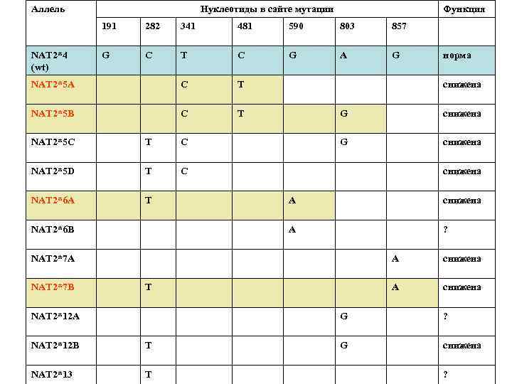 Аллель Нуклеотиды в сайте мутации Функция 191 282 341 481 590 803 857 G