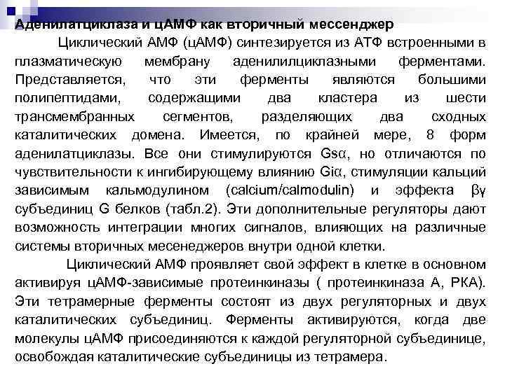 Аденилатциклаза и ц. АМФ как вторичный мессенджер Циклический АМФ (ц. АМФ) синтезируется из АТФ