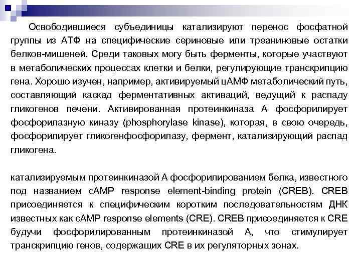 Освободившиеся субъединицы катализируют перенос фосфатной группы из АТФ на специфические сериновые или треаниновые остатки