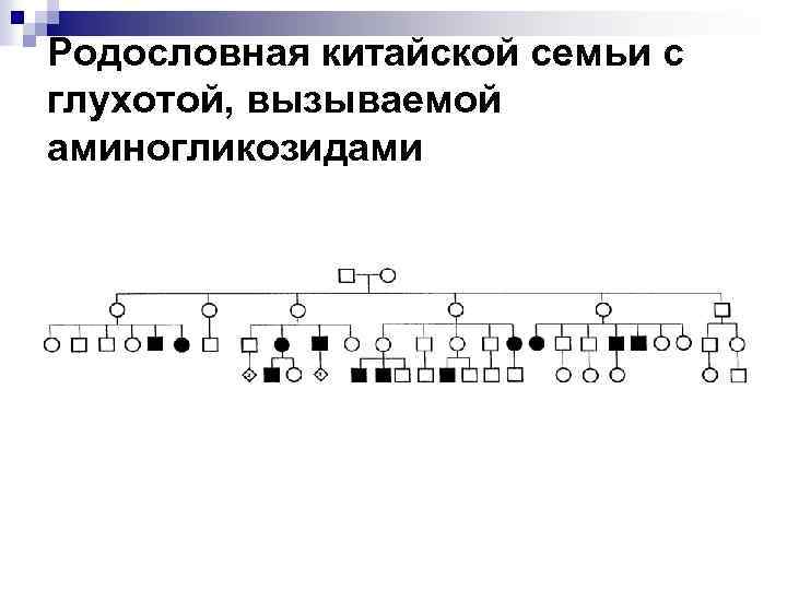 Родословная китайской семьи с глухотой, вызываемой аминогликозидами 