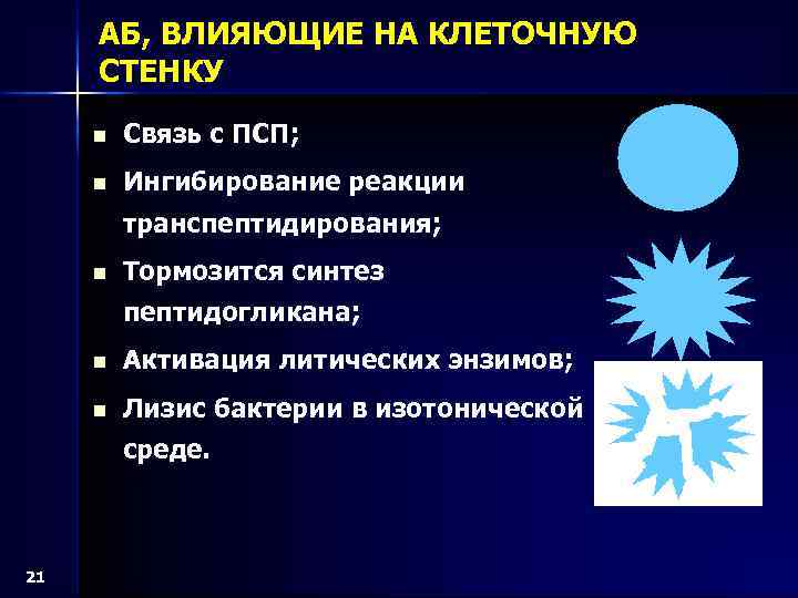 АБ, ВЛИЯЮЩИЕ НА КЛЕТОЧНУЮ СТЕНКУ n Связь с ПСП; n Ингибирование реакции транспептидирования; n