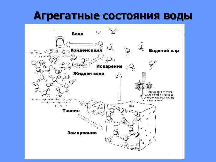 Агрегатные состояния воды 