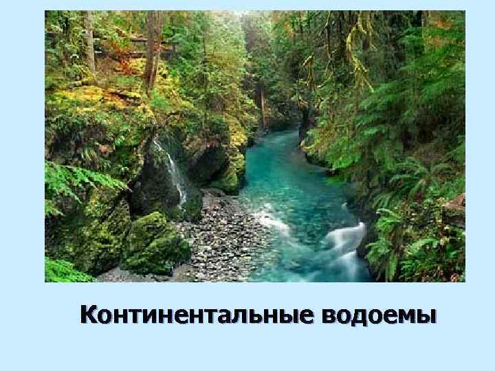 Континентальные водоемы 