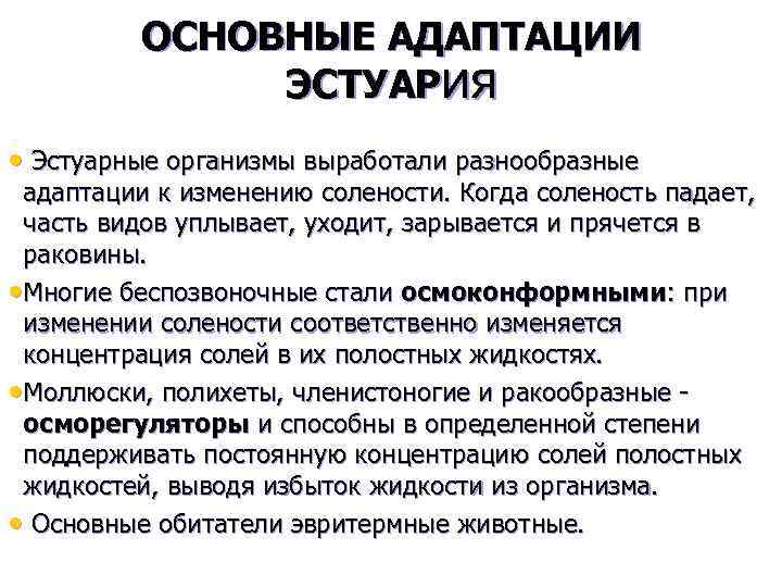 ОСНОВНЫЕ АДАПТАЦИИ ЭСТУАРия • Эстуарные организмы выработали разнообразные адаптации к изменению солености. Когда соленость