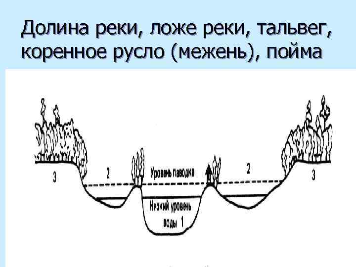 Долина реки, ложе реки, тальвег, коренное русло (межень), пойма 