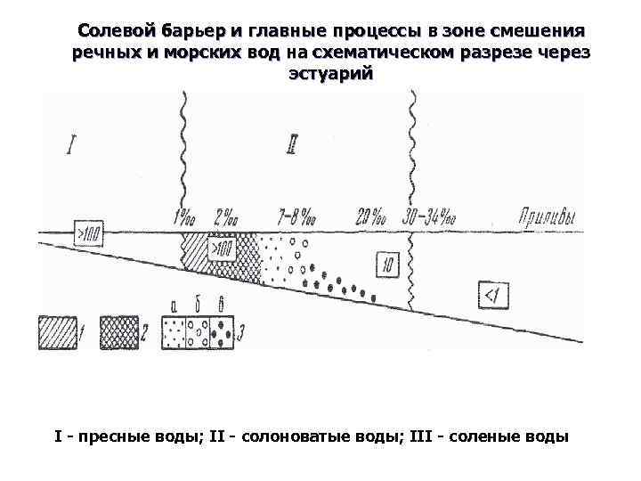 Солевой барьер и главные процессы в зоне смешения речных и морских вод на схематическом