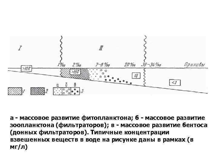 а - массовое развитие фитопланктона; б - массовое развитие зоопланктона (фильтраторов); в - массовое