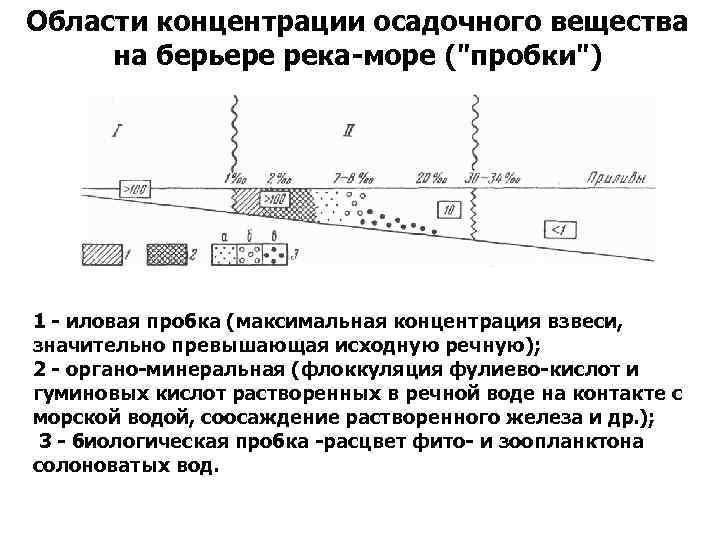 Области концентрации осадочного вещества на берьере река-море (