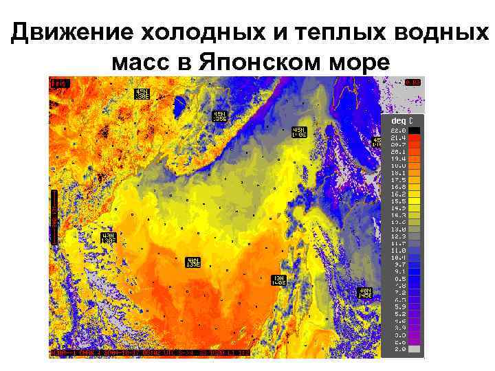 Движение холодных и теплых водных масс в Японском море 