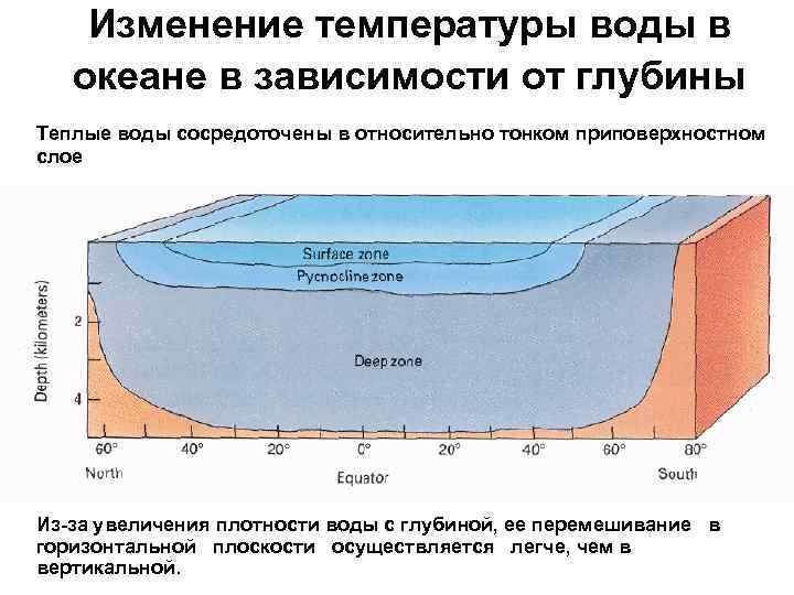 Изменение температуры воды в океане в зависимости от глубины Теплые воды сосредоточены в относительно