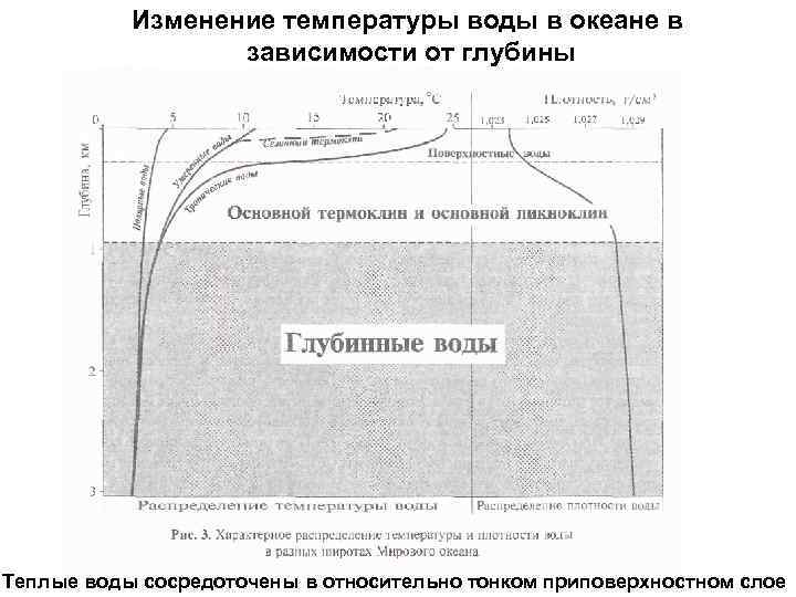 Изменение температуры воды в океане в зависимости от глубины Теплые воды сосредоточены в относительно