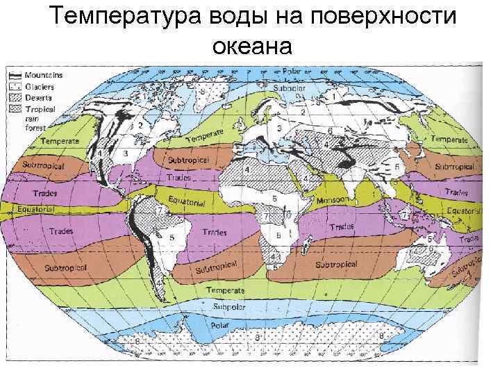 Температура воды на поверхности океана 