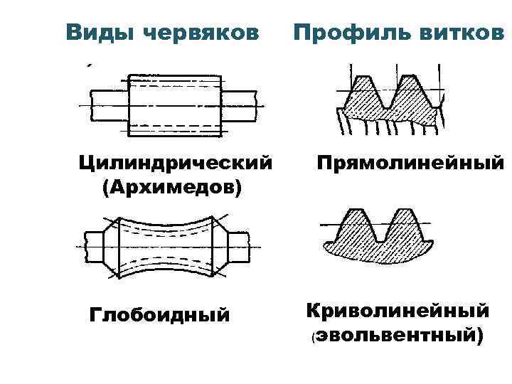 Профили червяков