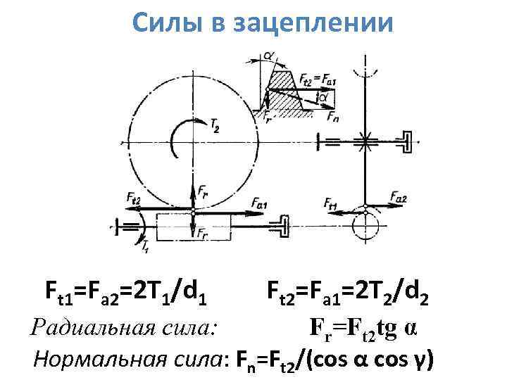 Силы в зацеплении Ft 1=Fа 2=2 T 1/d 1 Ft 2=Fа 1=2 T 2/d