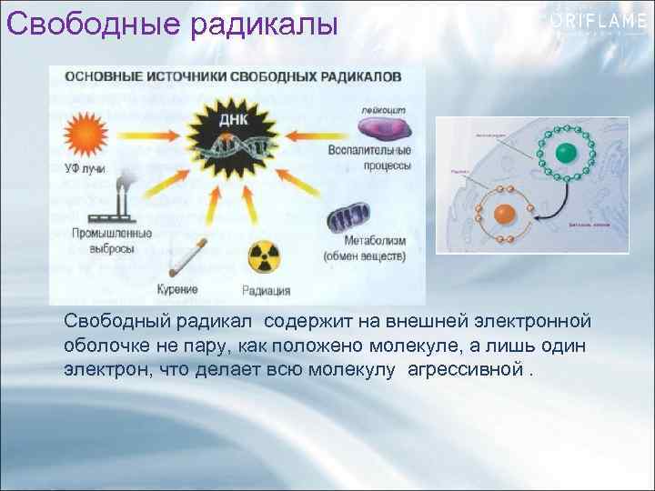 Свободные радикалы Свободный радикал содержит на внешней электронной оболочке не пару, как положено молекуле,
