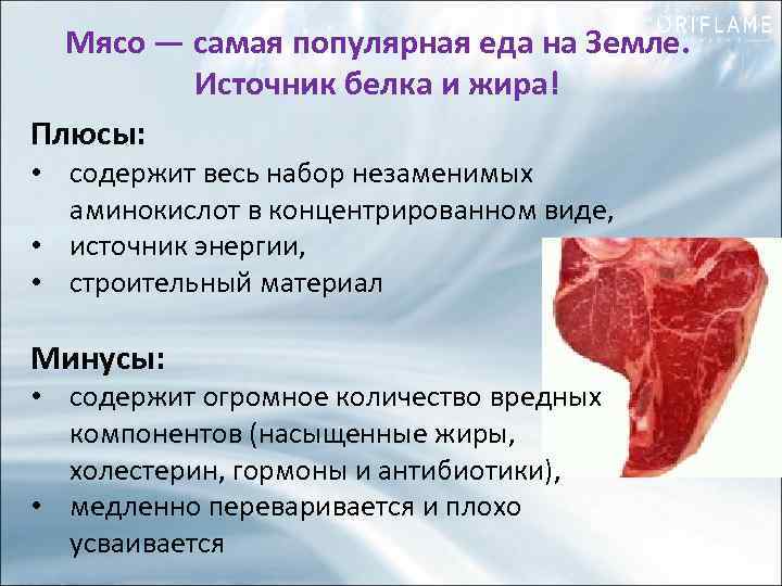 Мясо — самая популярная еда на Земле. Источник белка и жира! Плюсы: • содержит