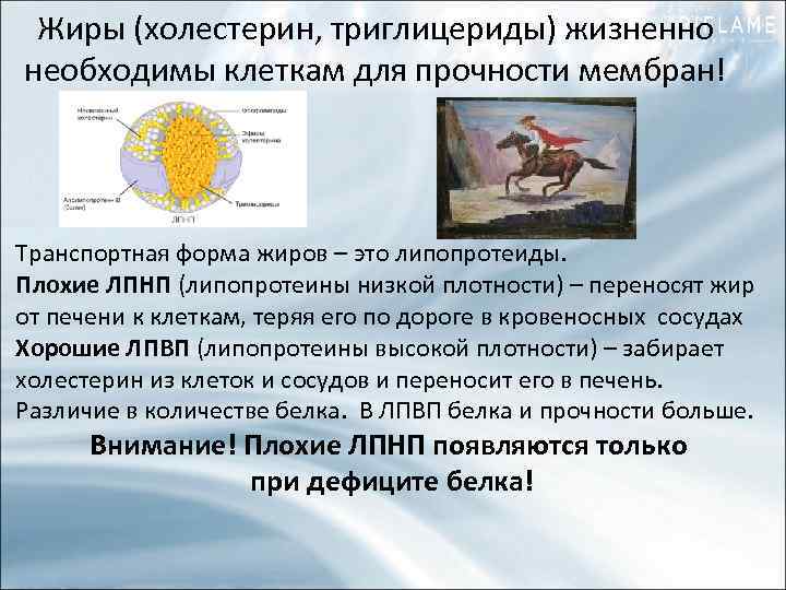 Жиры (холестерин, триглицериды) жизненно необходимы клеткам для прочности мембран! Транспортная форма жиров – это