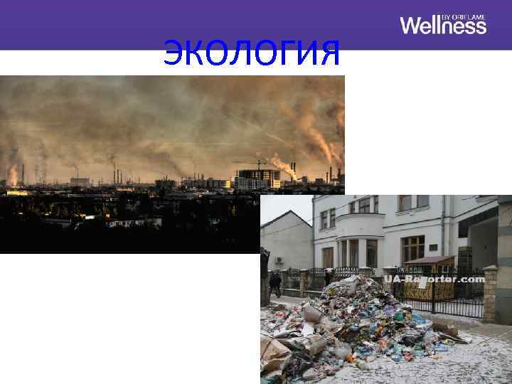 ЭКОЛОГИЯ 