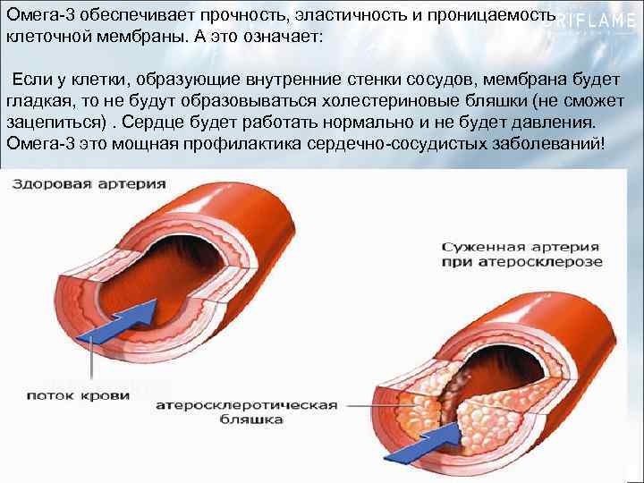Омега-3 обеспечивает прочность, эластичность и проницаемость клеточной мембраны. А это означает: Если у клетки,