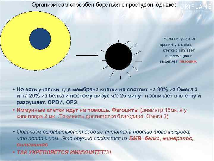 Организм сам способен бороться с простудой, однако: • когда вирус хочет • • проникнуть