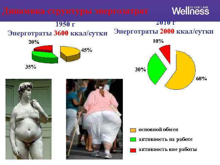 Динамика структуры энергозатрат 2010 г 1950 г Энерготраты 3600 ккал/сутки Энерготраты 2000 ккал/сутки основной