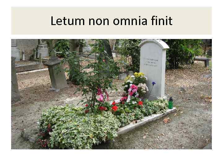 Letum non omnia finit 